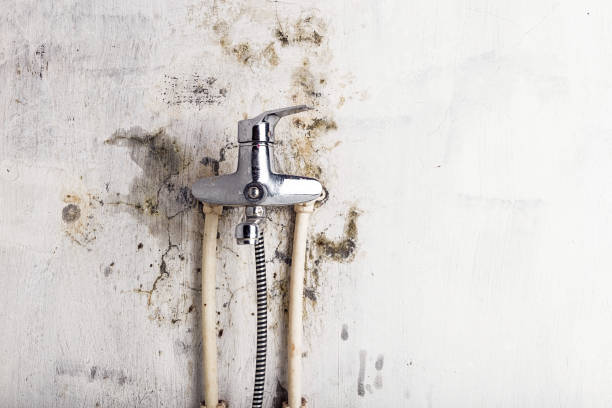 Best HVAC Mold Remediation in Munford, AL